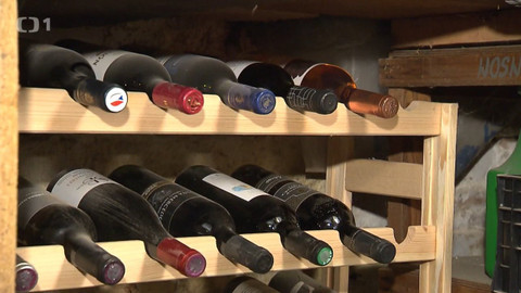 Černé ovce - 1. dubna 2021