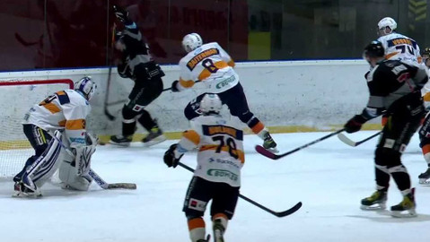 Univerzitní liga ledního hokeje - ČVUT Engineers Prague - Black Dogs Budweis