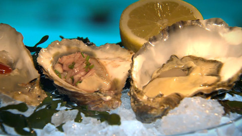 Vše o vaření - 28. ledna 2014