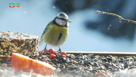 Novinky z přírody - Epizoda 41/53