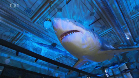 Z metropole - 11. září 2021