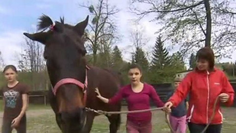 Wiadomości w języku polskim - 31. května 2015