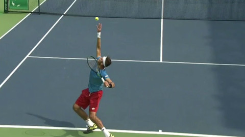 Davis Cup - Indie - Česko