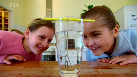 Věda je zábava - Epizoda 16/26