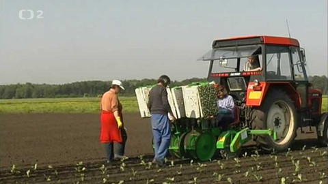 Videoatlas naší přírody - Zelinářská a ovocná zahrada