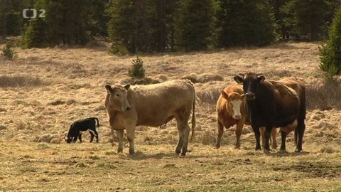 Nedej se! - Tenkrát na východě