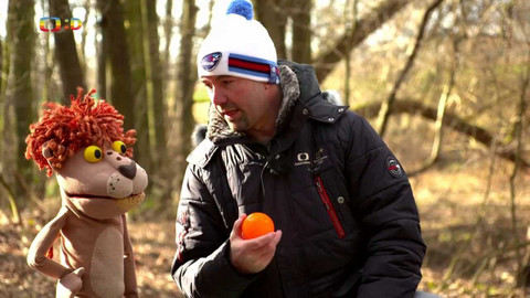 Lvíčata - 12. března 2022