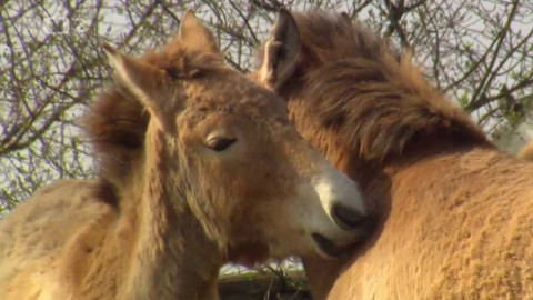 Chcete mě? - 29. dubna 2018