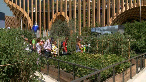 EXPOminuty 2015 - Jak nakrmit uprchlíky