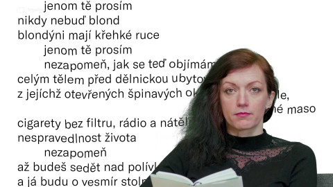 Jedna báseň - Olga Stehlíková