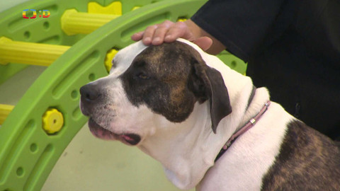 Zprávičky - 12. dubna