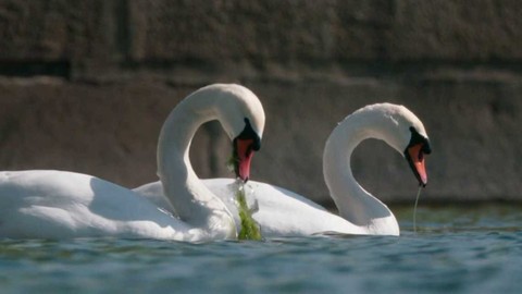 Nádherná příroda Dánska - 5/5 Město