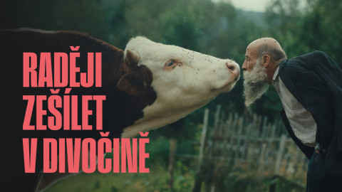 Raději zešílet v divočině