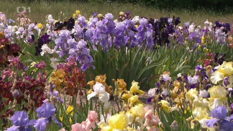 Hobby naší doby - 8. září 2018