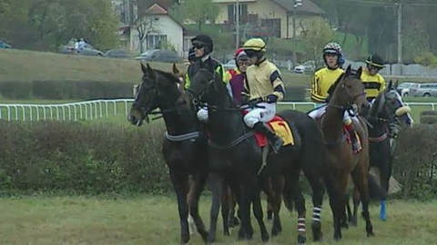 Jezdectví - Velká slušovická steeplechase