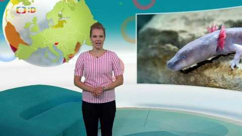 Zprávičky - 23. června 2020