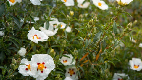 Polopatě - 4. dubna 2021