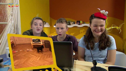 Terčin zvířecí svět - 13. listopadu 2020