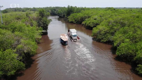 Objektiv - 12. dubna 2020