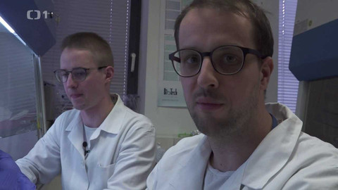 Týden v regionech (Brno) - 19. března 2022