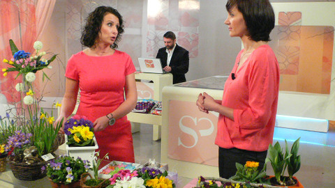 Sama doma - 25. února 2014