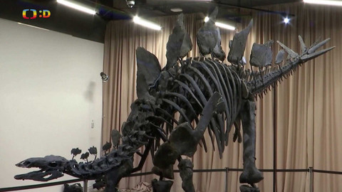 Zprávičky - 2. ledna