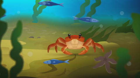 Můj mazlíček a já - roztomilá havěť - 9/10 Krabi