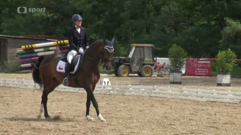 Jezdectví - M ČR v drezuře 2017 Brno