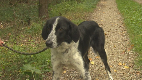 Chcete mě? - Chcete je?