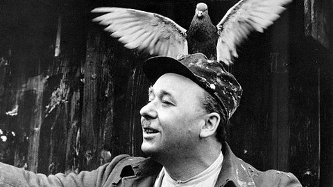 Ostře sledovaná svoboda