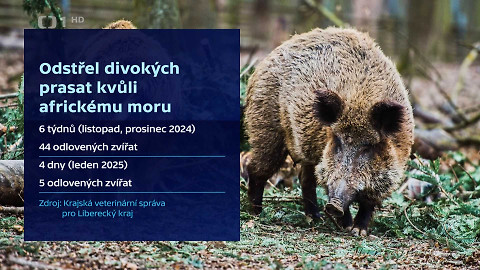 Události v regionech (sever a východ) - 23. ledna 2025