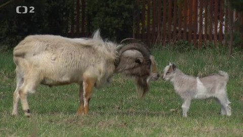 Náš venkov - Smíření nad Odrou