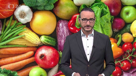 Horizont ČT24 - 10. února 2019