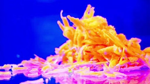 Pod pokličkou - Kdo by chtěl mít dobrý zrak - ať jí mrkev jako drak