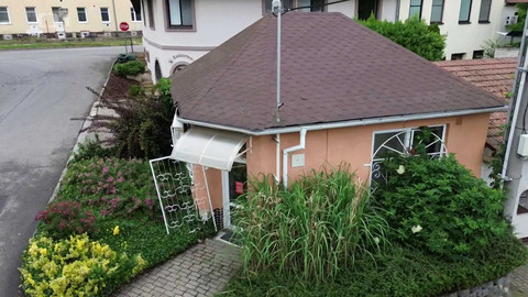 Černé ovce - 8. září