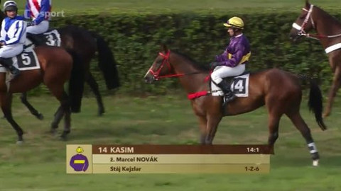 Jezdectví - III. kvalifikace na Velkou pardubickou