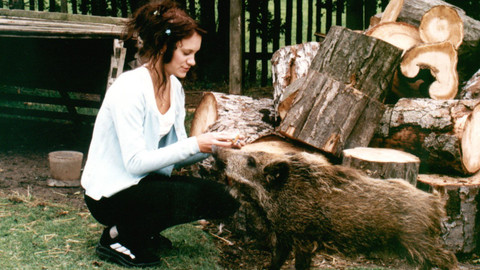 Ranč U Zelené sedmy - 8/21 Ranč U Zelené sedmy