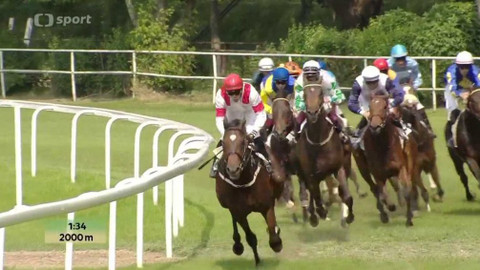 Dostihy - 42. Turf-gala