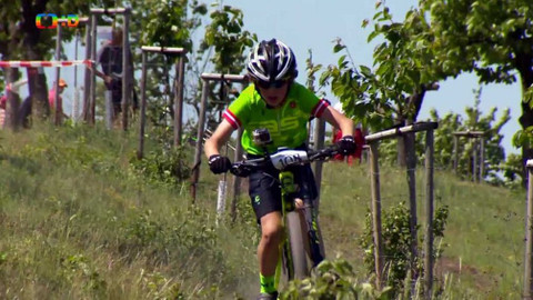 Lvíčata - 26. května 2018