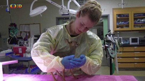 Zprávičky - 22. února 2019