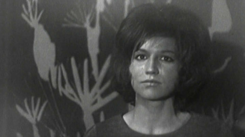 Písničky kolem nás - Písničky kolem nás