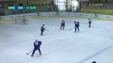 Olympiáda dětí a mládeže - Lední hokej