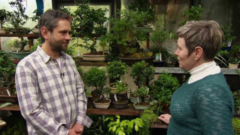 Polopatě - 7. května 2017