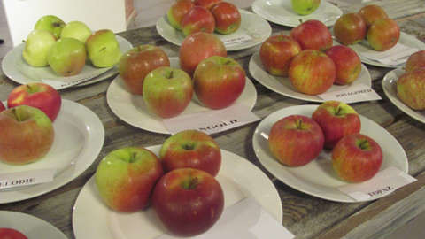 Sama doma - 22. září 2014