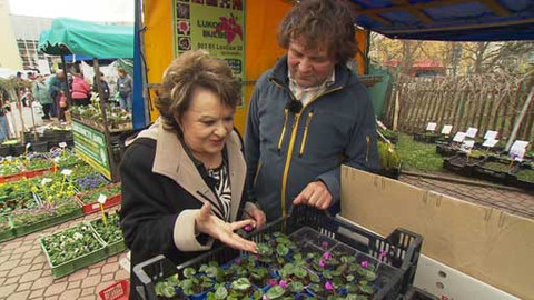 Hobby naší doby - 10. května 2014