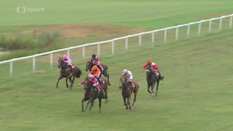 Turf - 19. srpna 2015