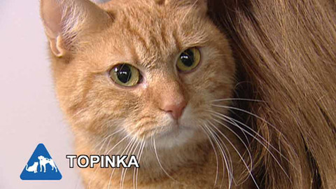 Chcete mě? - Chcete je?