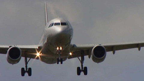 Černé ovce - 17. října 2024