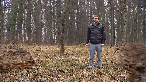 Nedej se! - Zachraň strom, probudíš město
