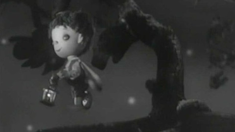 Broučci - První společný let